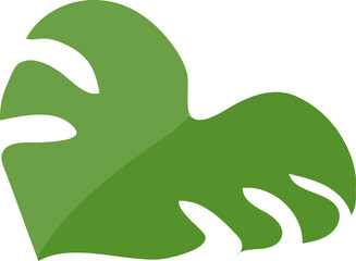 monstera leaf