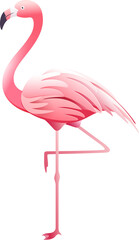 Pink flamingo - obrazy, fototapety, plakaty
