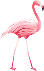 Pink flamingo
