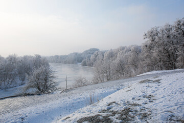 A wonderful view of the frozen forest