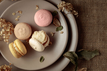 Delicious sweet colorful macaroons with dried flowers.