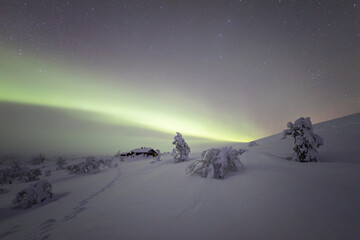 Northern lights in Pallas Yllastunturi National Park, Lapland, Finland