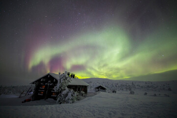 Northern lights in Pallas Yllastunturi National Park, Lapland, Finland