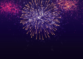 Vector Brightly Colorful Fireworks on the background of the night sky.