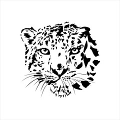 head of leopard vector illustration