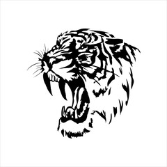 head tiger with white background. vector illustration