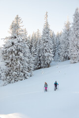 Two women walk in snowshoes on the mountain trail