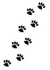 Fototapeta premium 猫の足跡