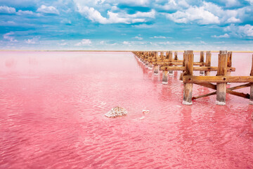 The pink lake is a beautiful landscape, unusual nature. A unique rare natural phenomenon. Salt lake with pink algae. Beautiful landscape. © Vera