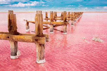The pink lake is a beautiful landscape, unusual nature. A unique rare natural phenomenon. Salt lake with pink algae. Beautiful landscape.