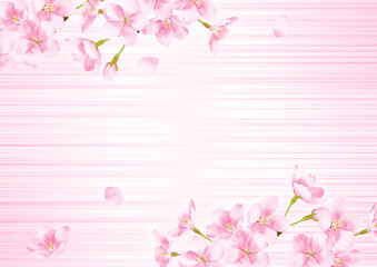 Naklejka na ściany i meble 桜の水彩風イラスト　背景素材