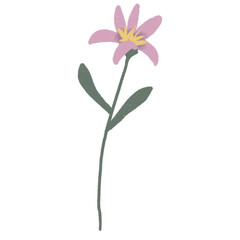 Fototapeta premium hand draw flowers