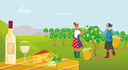 Fototapeta premium Farmer character winemaker work on wine plantation, factory production process flat vector illustration, worker harvest grape crop.