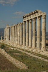 Fototapeta premium Columns in Laodicea on the Lycus Ancient City in Denizli, Turkiye