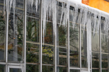 Problem of poor thermal insulation in old orangery building with big icicles hanging outside glass walls. Early spring thaw with malting snow on roof ripping water during day and frozen at night