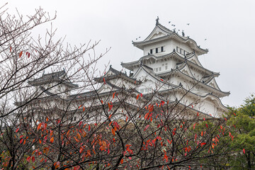 Naklejka premium Himeji, Japan. The main keep (tenshu) of the White Egret or Heron Castle, a castle complex from the Azuchi Momoyama period and a World Heritage Site