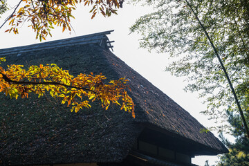 Fototapeta na wymiar 紅葉と茅葺屋根