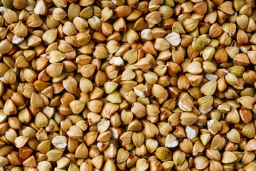 organic raw green buckwheat on a white background