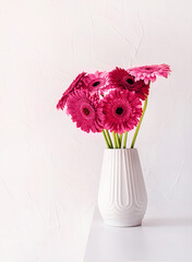 Bright gerbera daisies in white vase on table toned with viva magenta