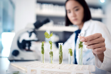 Woman, hands and plant scientist with test tube in medical research, gmo engineering or climate...