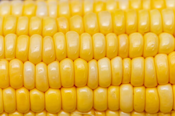 Sweet corn is a plant that is high in nutrients, high in fiber.