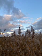 clouds and sky