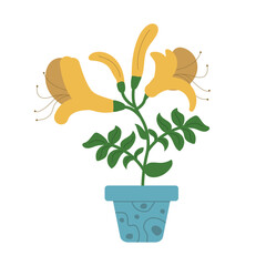 Stylish living room interior decoration.Urban jungle, trendy home decor with plants, cacti, tropical leaves in stylish planters and pots. Vector illustration. Vector illustration