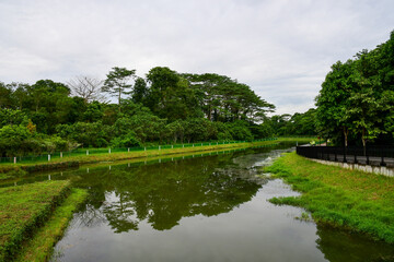 Fototapeta na wymiar Parks in Singapore - Springleaf Nature Park