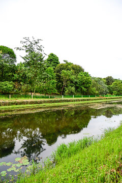 Parks in Singapore - Springleaf Nature Park