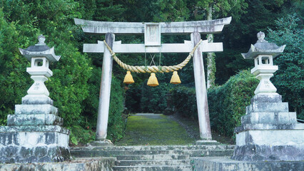 Torii and lanterns at the shrine