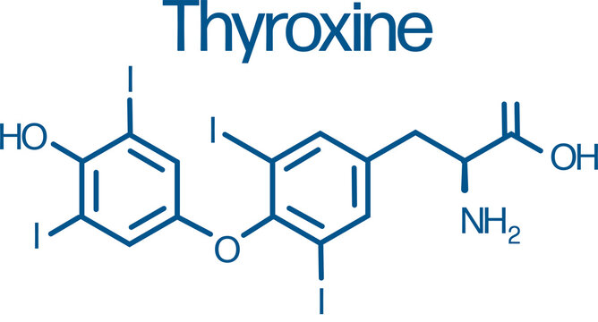 Thyroxine, thyroid hormone molecular structure, PNG skeletal formula. 