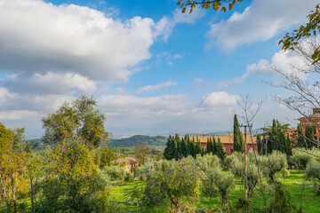 A view of the houses, mountains, and trees from above. You can see plants and tree tops in the foreground.