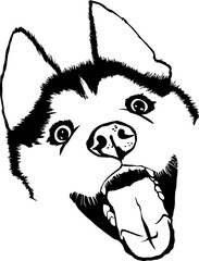 Cute Husky illustration svg, Husky svg, Syberian husky svg illustration © Jazzy Jez