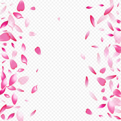 White Flower Vector Transparent Background. Leaf