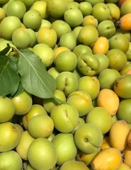 Japanese apricot / green apricot
