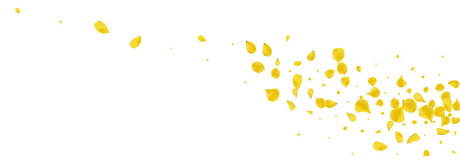 Gold Petal Fly Vector Panoramic White Background.