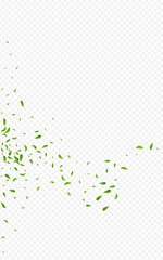 Lime Greens Fresh Vector Transparent Background