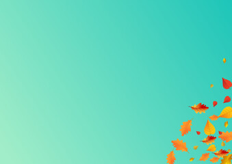 Autumnal Plant Vector Blue Background. October