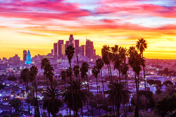 View of downtown Los Angeles skyline with palm trees at sunset in California United States