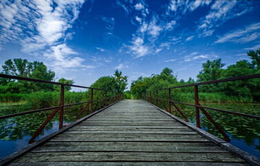 Obraz premium bridge over the river