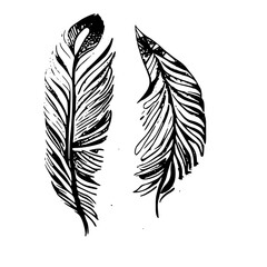 Two feather