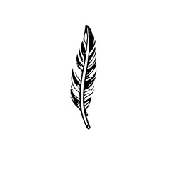 Feather