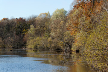 Clarette pond in the Seine-et-Marne country