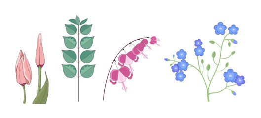 Set, vector illustration with flowers and leaves, forget-me-nots, tulips.