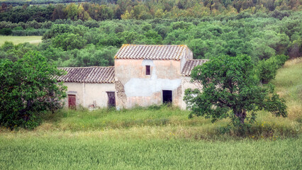 Old farmhouse in a rural setting in Italy in summer