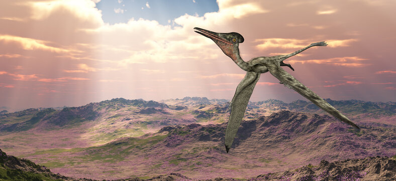 Flugsaurier Pterodactylus über einer Landschaft