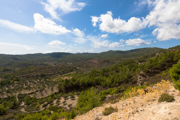Fototapeta na wymiar Panoramic view of typical greek mediterranean landscape with hill, fir trees and bushes. Tourism and vacations concept. Rhodos Island, Greece.