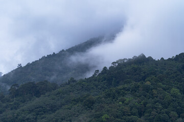 Flowing fog waves on mountain tropical rainforest,Amazing nature background with clouds and mountain peaks