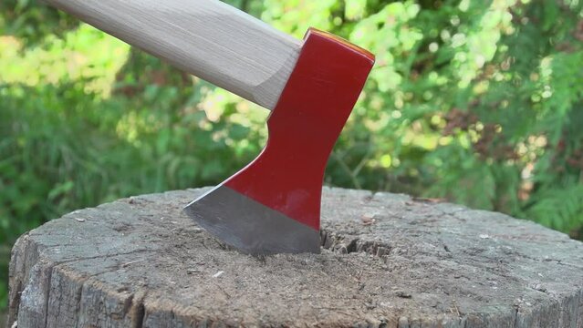 Lumberjack worker throw an ax in of a raw wood tree finish work