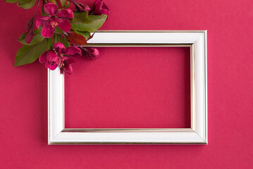 Paper background Color 2023 Viva Magenta. Viva magenta color of the year 2023 demo. Beautiful...